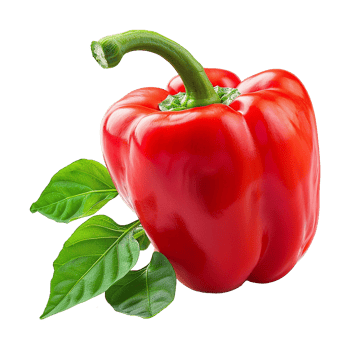 Fresh red ripe pepper with leaves isolated on transparent background png