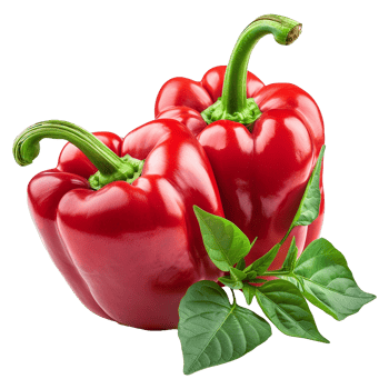 Fresh red ripe pepper with leaves isolated on transparent background png