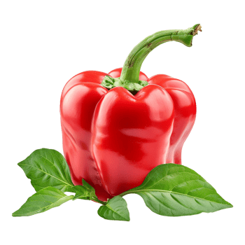 Fresh red ripe pepper with leaves isolated on transparent background png