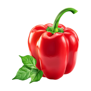 Fresh red ripe pepper with leaves isolated on transparent background png