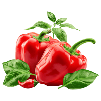 Fresh red ripe pepper with leaves isolated on transparent background png
