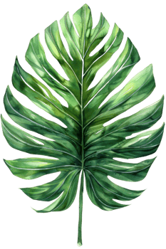 Pritchardia Palm Leaf, Watercolor tropical Border, watercolor illustration, png
