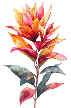 Cordyline Leaf, Watercolor tropical Border, watercolor illustration, png