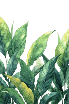 Ginger Leaf, Watercolor tropical Border, watercolor illustration, png
