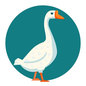 White goose illustration vector