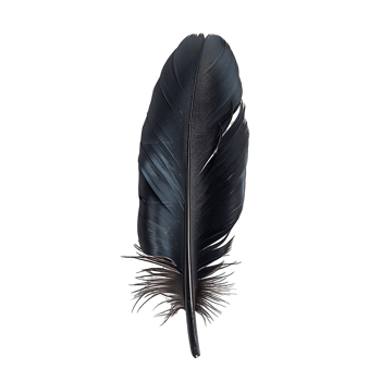 Quill Feather Cut Outs Essential Stock Resource png