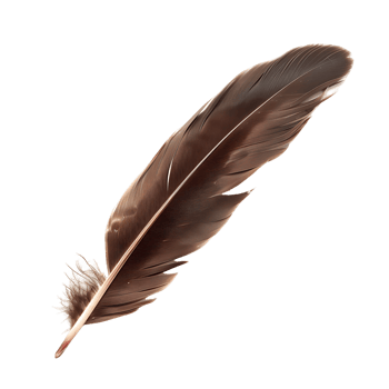 Unlock Inspiration Quill Feather Cut Out Stock Images png