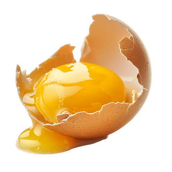 Cracked Egg Close Ups Premium Quality Stock Photography png
