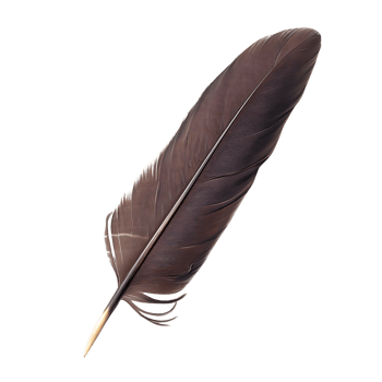 Vintage Quill Feather Cut Outs Ready to Use Images png