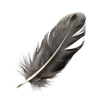 Premium Quill Feather Cut Outs High Quality Images png