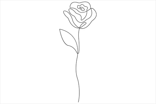 Rose flower continuous one line art drawing of outline illustration Rose day, valentine day concept vector