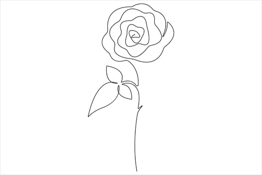 Rose flower continuous one line art drawing of outline illustration Rose day, valentine day concept vector