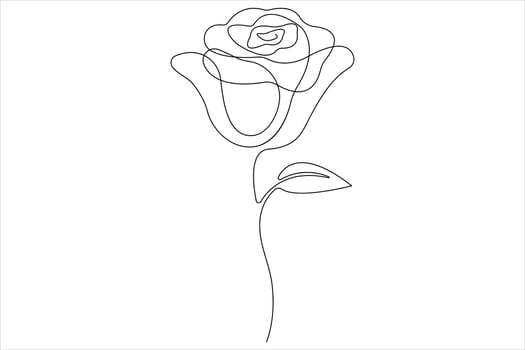 Rose flower continuous one line art drawing of outline illustration Rose day, valentine day concept vector