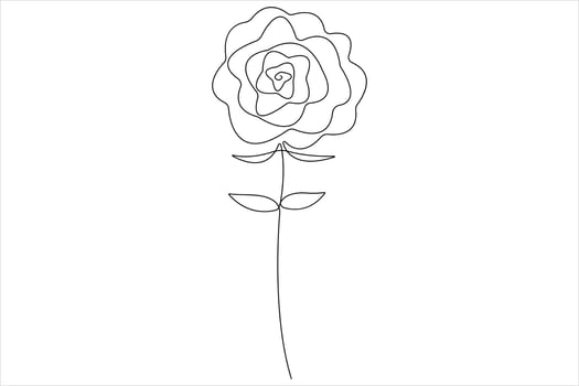 Rose flower continuous one line art drawing of outline illustration Rose day, valentine day concept vector