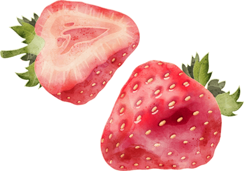 Strawberry fruit watercolor illustration png