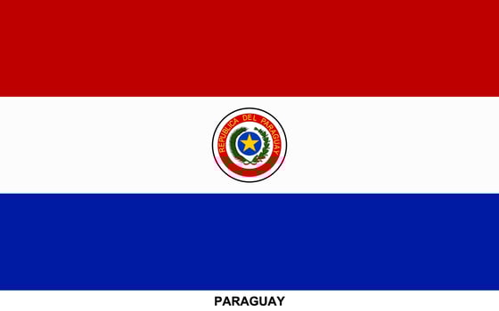 Flag of PARAGUAY, PARAGUAY national flag vector