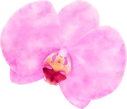 Orchid flowers watercolor illustration png