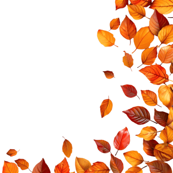 Autumn Leaves Border on Transparent Background png