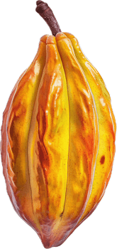 Ripe Yellow Cacao Pod Close-Up. png