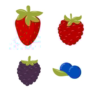 Berry Fruit Clipart Collection Set Graphic Illustration. Strawberry, blueberry, raspberry, and blackberry vector