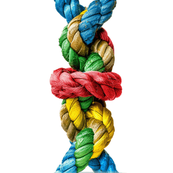 colorful rope with knots partnership isolated on transparent background png