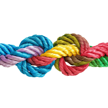 colorful rope with knots partnership isolated on transparent background png
