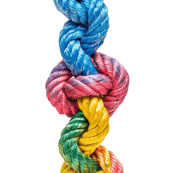 colorful rope with knots partnership isolated on transparent background png
