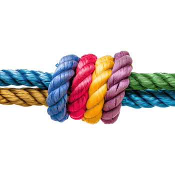colorful rope with knots partnership isolated on transparent background png