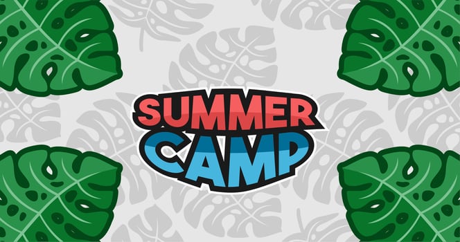 Summer camp banner layout, summer background illustration vector