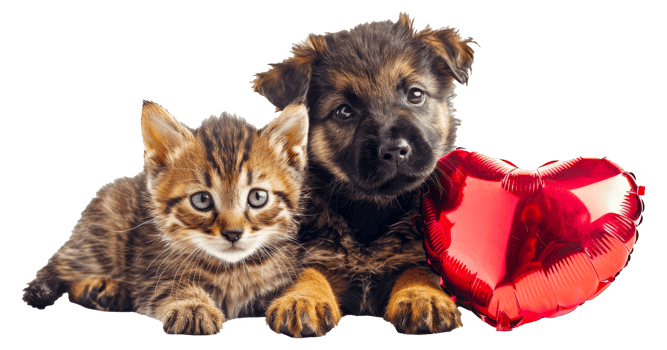 Puppy and kitten with red heart balloon, cut out - stock .. png