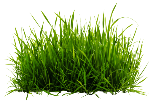A patch of green grass is shown - stock .. png