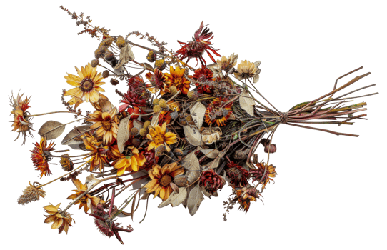 A bouquet of dried flowers is arranged in a vase - stock .. png