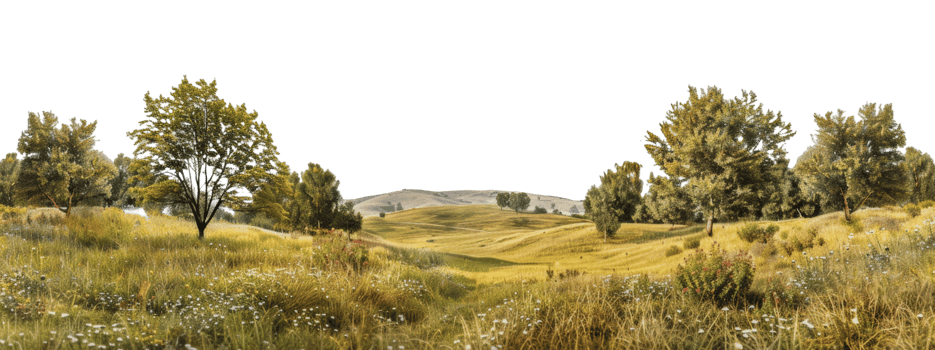 Panoramic view of meadow landscape with trees and hills, cut out - stock . png
