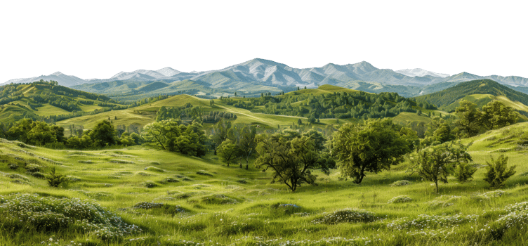 Panoramic view of meadow landscape with trees and hills, cut out - stock . png
