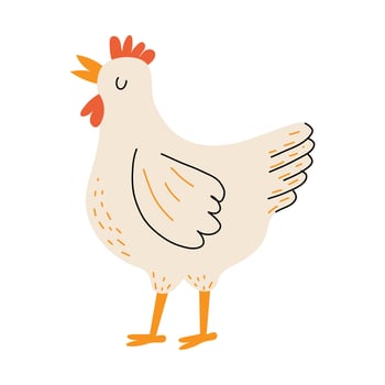 Cute chicken. Hen in the hand drawn style. Domestic bird. Farm animal. White isolated background. vector