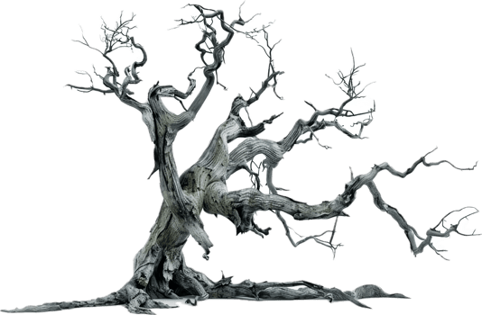 Twisted Dead Tree with Bare Branches. png