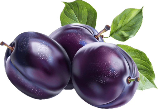 Fresh Purple Plums with Green Leaves. png