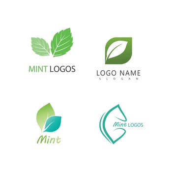 Mint leaf logo element template and symbol vector