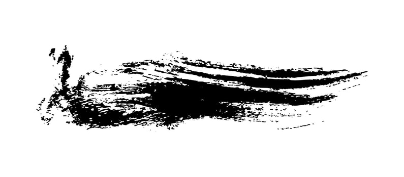 Black brush stroke on white background vector