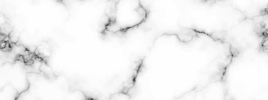 White marble texture background vector