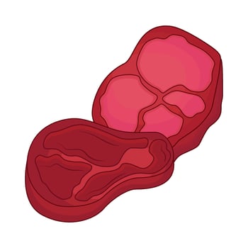 illustration of meat vector