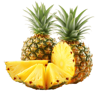 Pineapple Variety Essential Stock Resource png