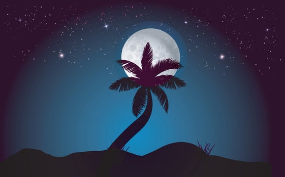 Beautiful night coconut tree moon with sky and dark night landscape illustration vector