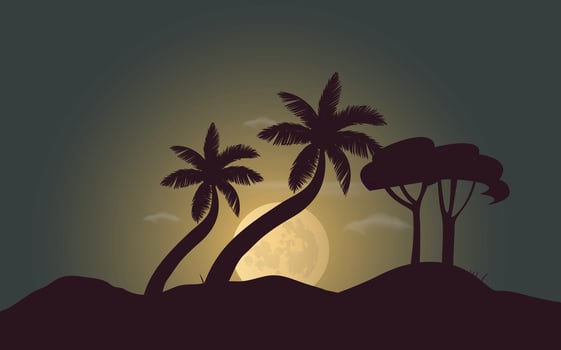 Forest sunset beautiful moment illustration background vector