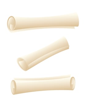 Rolled paper scroll in different positions, isolated on a white background. Template for graduation diploma, certificate of education, antique letter on parchment, ancient magic manuscript. vector