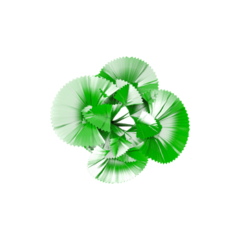 Licuala orbicularis plant isolated on transparent Canvas png