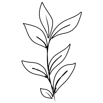Continuous one line drawing of leaf branch png