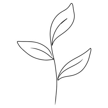 Continuous one line drawing of leaf branch png