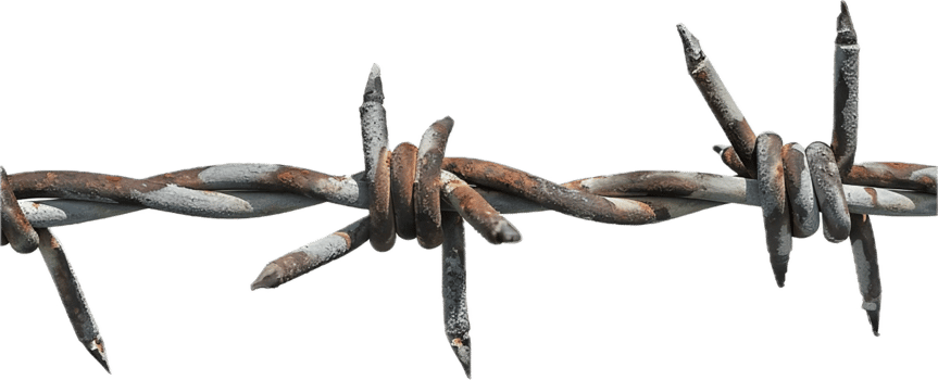 Rusty Barbed Wire Close-Up. png