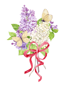 A bouquet of lilacs with a red silk bow on a transparent background. White, violet and violet spring watercolor flowers and white butterflies. Illustration for greeting cards of Mother's Day. png